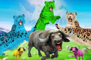 Zombie Leopards vs Buffalo Fight Baby Buffalo Saved By Woolly Mammoth Elephant Wild Animal Fights