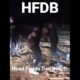 #shorts #HFDB4 Red Devil vs enforcer #highlights #hoodfights #mma