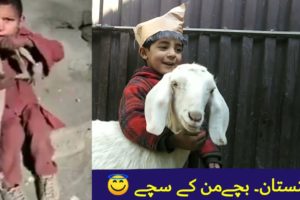 #shorts #short Balti kids playing with animals | Skardu trend video