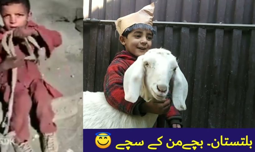 #shorts #short Balti kids playing with animals | Skardu trend video