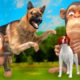 बंदर और कुत्ते की लड़ाई - Monkey and Dog Fight Hindi Story Kahaniya | 3D Animated Animals Stories