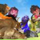 10 Lions vs Buffalo Fight Baby Baffalo Rescue Wild Animal Fights 3d Animal Revenge Stories Video