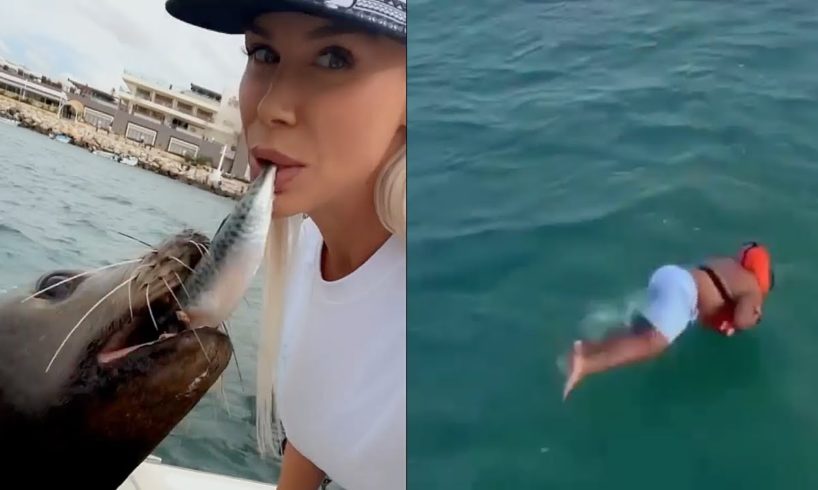 Boat Fails and Wins 2022 - Best of The Week | Part 122