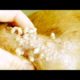 Removing Monster Mango worms From Helpless Dog! Animal Rescue Video 2022 #68