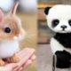 Baby Animals 🔴 30 Minutes of Funny Cats and Dogs Videos 2022 Perros y Gatos Recopilación #14