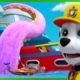 Sea Patroller Rescues! | PAW Patrol | Cartoons for Kids Compilation
