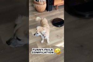 Best fails of the week   fails compilation 👌🤣