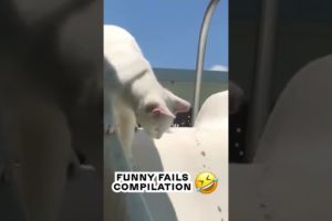 Best fails of the week   fails compilation 😛👍