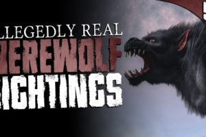 53 Werewolf and Dogman Encounters (COMPILATION)