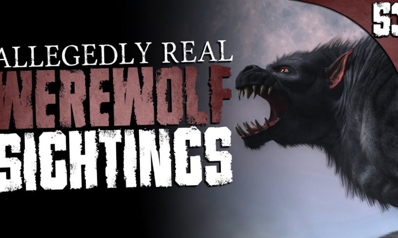 53 Werewolf and Dogman Encounters (COMPILATION)