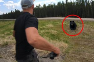 6 Bear Encounters That Will Leave You Shook