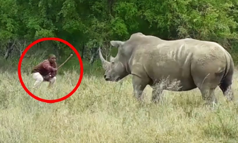 6 Rhino Encounters You Will Never Forget