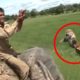 6 Tiger Encounters That Are Very Disturbing