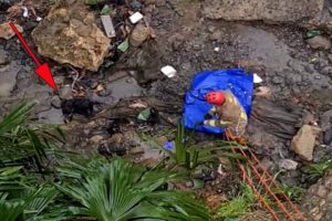 A tearful journey to rescue a dog that fell from a height of 40m into a rocky valley