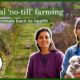 A ‘No-till’ farm that sustains people and rescues animals