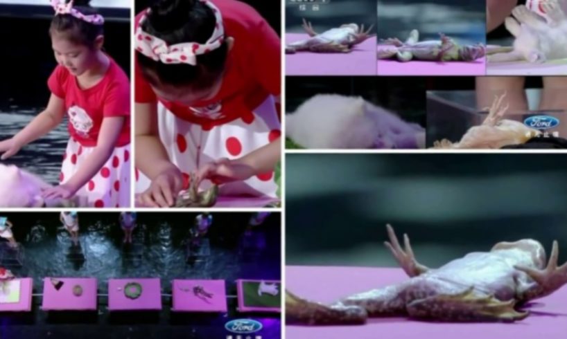 Amazing little girl hypnotises 5 animals in 5 minutes live on talent show