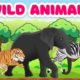 Animals for kids Learn the names and sounds of wild animals