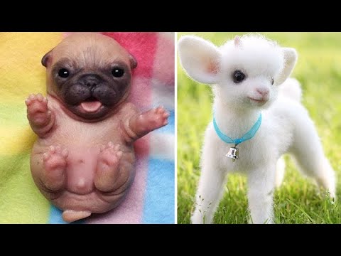 Baby Animals 🔴 30 Minutes of Funny Cats and Dogs Videos 2021 Perros y Gatos Recopilación #10
