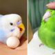 Baby Animals 🔴 Funny Parrots and Cute Birds Compilation (2021) Loros Adorables Recopilación #47