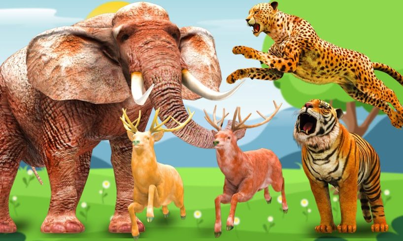 Big Elephant vs Cheetah | Elephant fight with Tiger and Cheetah to Save Cartoon Deer | Animal Fights