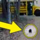 Bus Driver Pulls Up And Everyone Freaks Out At The Animal Running Toward Them