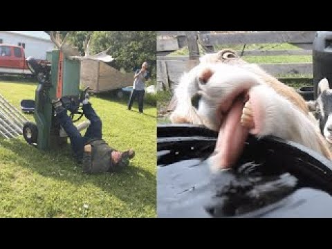 Catch it |Failarmy|Best of the Day #4 |Fails of the week #failarmy