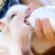 Cerdito pequeñito es encontrado en un transportador de mascotas en un garaje | El Dodo