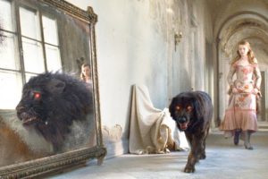 Child Find A Strange Black Dog, But His Image In The Mirror Is A Terrifying Monster !
