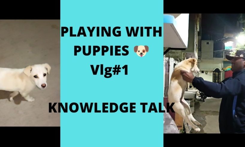 Cute Puppies|| Playing With Cutest Puppies 🐶|| Vlog#01 || Mahesh दा गांधी||