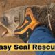 Easy Seal Rescue