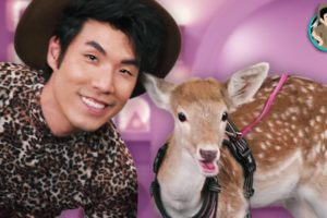 Eugene Gets Surprised By A Baby Deer 🦌