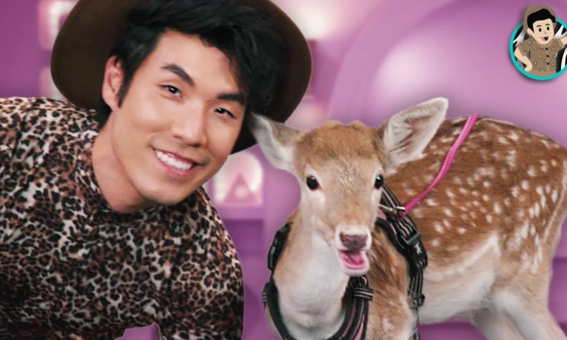 Eugene Gets Surprised By A Baby Deer 🦌