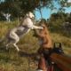 FAR CRY 6 - WHITE PANTHER VS COUGAR - ANIMAL FIGHTS!!!!