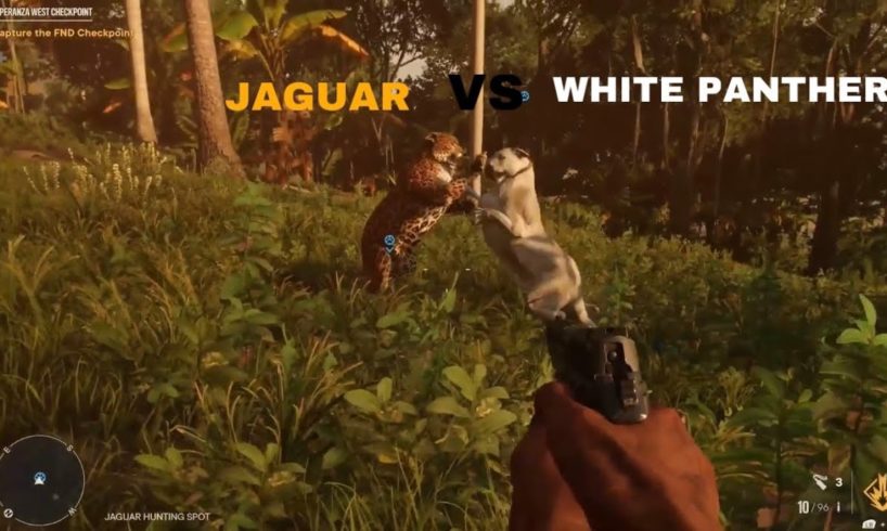 FAR CRY 6 - WHITE PANTHER VS jaguar - ANIMAL FIGHTS!!!