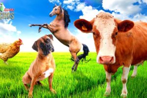 [FARM ANIMALS] Som dos Animais da Fazenda