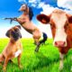 [FARM ANIMALS] Som dos Animais da Fazenda