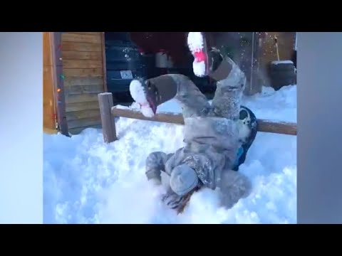 Funny Fail Compilation 2022 | Fails Of The Week | Try Not To Laugh 2022 | Girl Fails | WOF #173