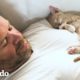 Gatito decide que su papá es Dios | Cat Crazy | El Dodo