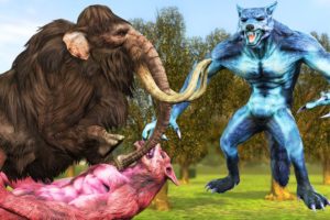 Giant Wolf vs Woolly Mammoth Animal Fights Cartoon Cow Saved By Mammoth Elephant Giant Animal fights