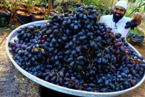 Grape Juice Recipe || How to make Grape Juice || Refreshing Summer Drink Recipes || Nawabs Kitchen