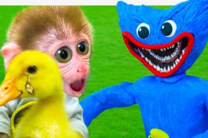 HUGGY WUGGY VS MONKEY BABY, DUCK - Animals Home Story