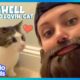 Her Cat Loves Her For Her Fake Beard | Dodo Kids | Animal Videos
