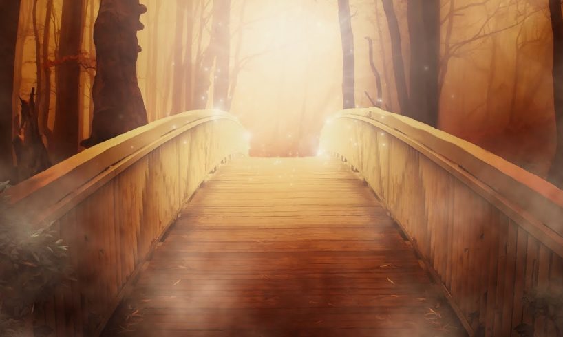 I saw a Bright light energizing me during my Near Death Experience | NDE