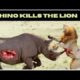INCREDIBLE ANIMAL FIGHTS THE RHINO KILLS THE LION