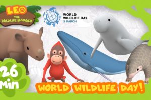 IT'S WORLD WILDLIFE DAY (3rd MARCH)! | Save Our Animals! | Leo the Wildlife Ranger | Kids Animation