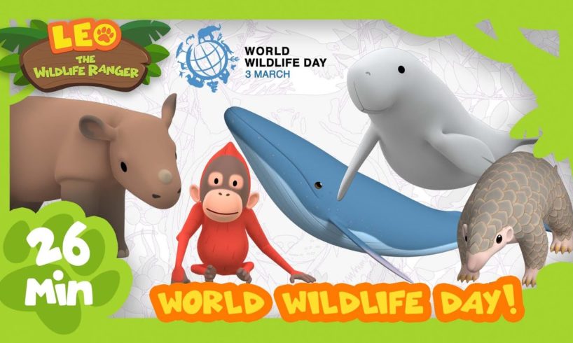 IT'S WORLD WILDLIFE DAY (3rd MARCH)! | Save Our Animals! | Leo the Wildlife Ranger | Kids Animation
