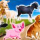 Interesting family animals, farm animals: Dog, cat, cow, duck, sheep - animal sounds