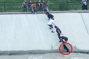 Most Intense Human Chain Ever Rescues Dog Stranded in Canal   The Dodo