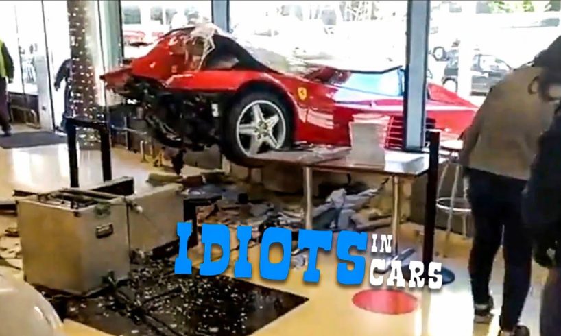 NEAR DEATH OF BRAIN | IDIOTS IN CARS pt.20
