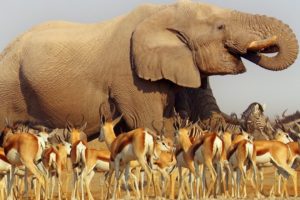 Nature Makes You Happy | BBC Earth